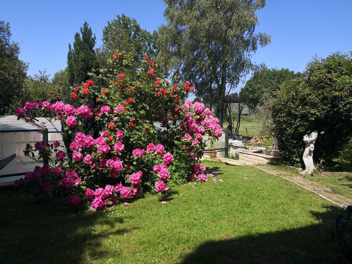 Bed and Breakfast Au Jardin Fleuri Secondigny Exteriér fotografie
